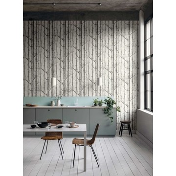 C&S_The Contemporary Collection_Woods 69-12147_RGB