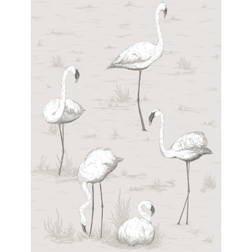 Flamingos 95/8046