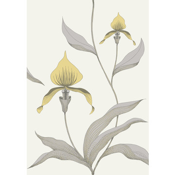 C&S_The Contemporary Collection_Orchid 95-10057