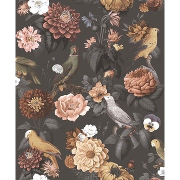 Parrottini Noir &amp; Blush 15549