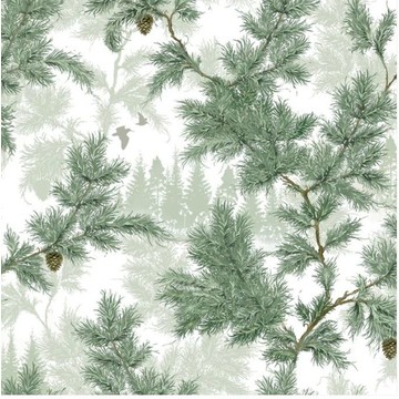 Sommargläntan 434-01