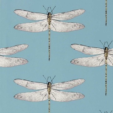 Demoiselle Cornlower/First Light/Honey 113144