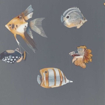 Kamanu Amber/Slate 111648