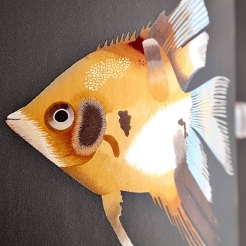kamanu_wall 111648 B