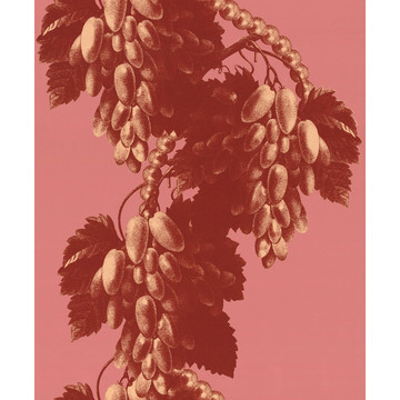 Pink Pearl 1713