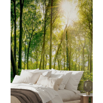 Forest e316064 290cmx248cm (kuvatapetti)