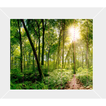 forest e316064 mitat