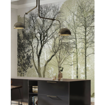 spring in the woods amb