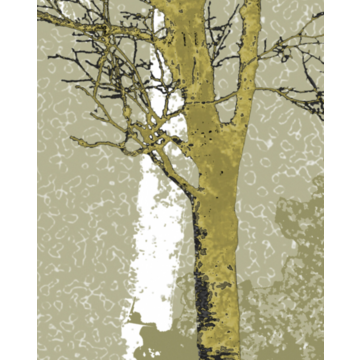 spring in the woods closeup