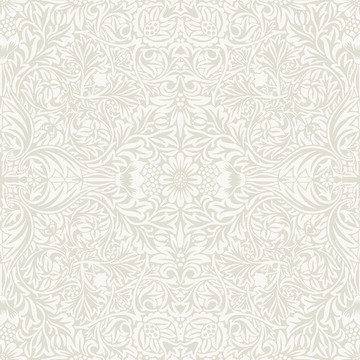 Ceiling 82069