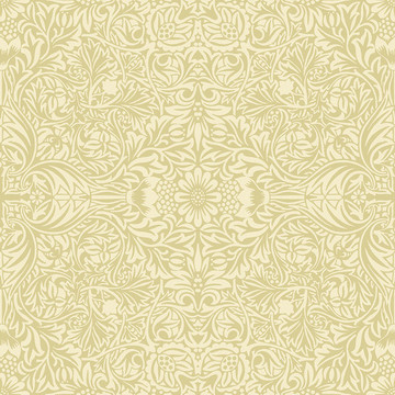 Ceiling 82070