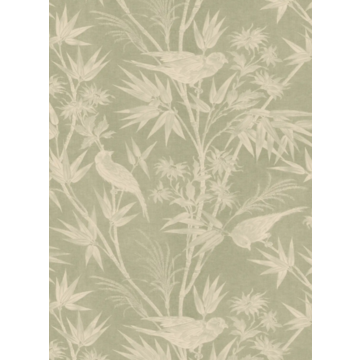 Celeste Green S10622