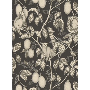 Elliot Graphite S10631