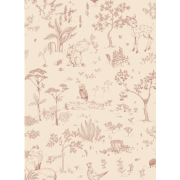 Hollie Terracotta S10641