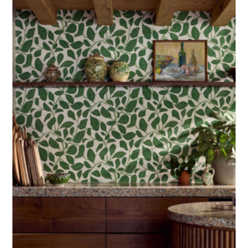 Sweet Bay in Forest Scion  Living amb