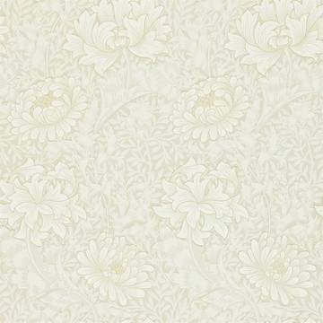 Chrysanthemum Chalk 216823 (212546/216457)