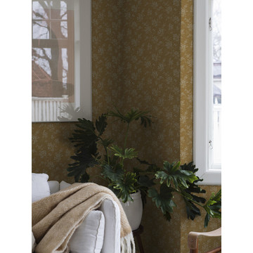 1178_HipRose_Roomshot_1_PR