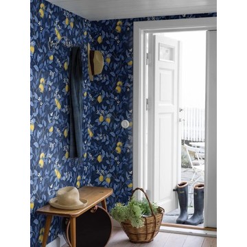 6151 citronträd amb