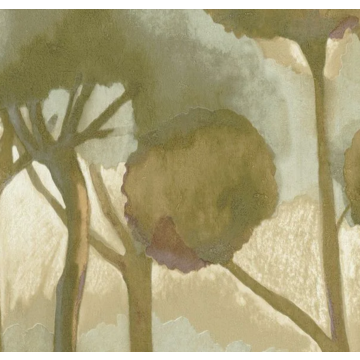 FORET DES LANDES 200927530_closeup