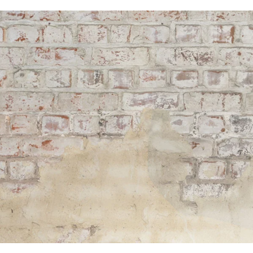 brickwall CASELIO_106251027_closeup