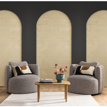 canework arch CASELIO_106209036_room