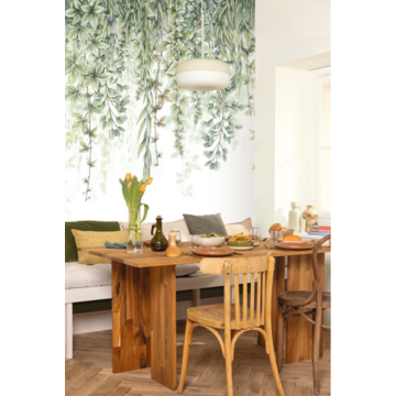 CASELIO_106317025_room