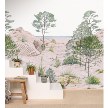 sand dune CASELIO_106377037_room