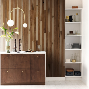 woodwall CASELIO_106422027_room