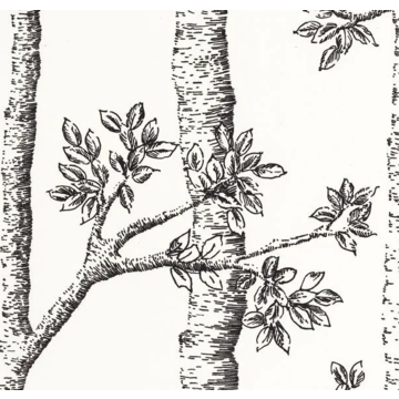 automne 106120000_closeup