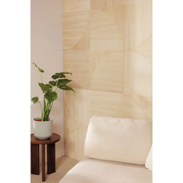 BOIS DHIVER_room A