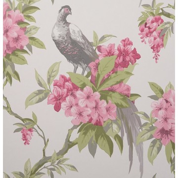 Golden Pheasant Rose M1664