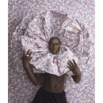 petal haze 35844 amb (3)