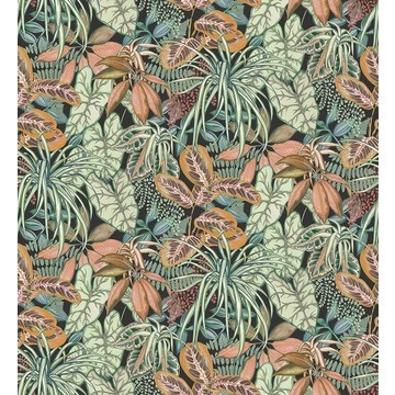 Hothouse Charcoal/Pine W8032-03