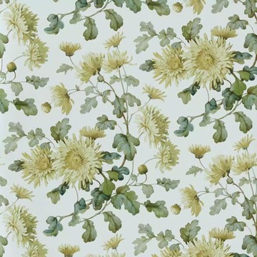 Charlotte Primrose 2513-190-01