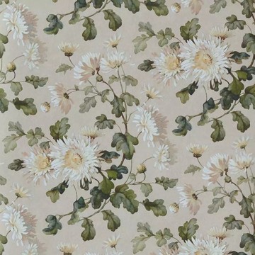 Charlotte Apricot 2513-190-04