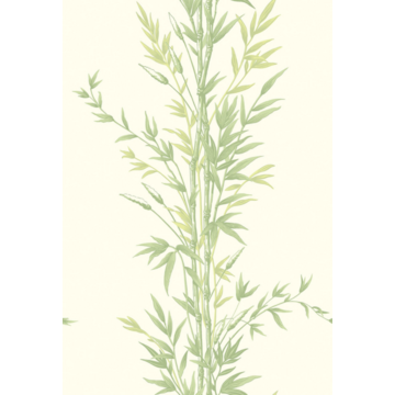 Bamboo 100/5023