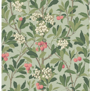 Strawberry Tree 100/10048