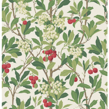 Strawberry Tree 100/10049