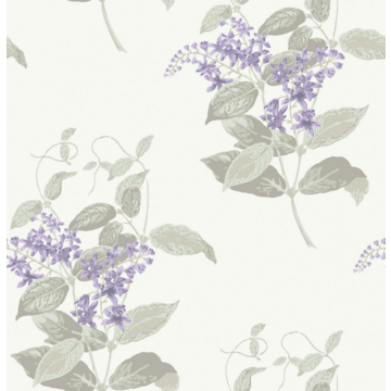 Madras Violet 100/12057