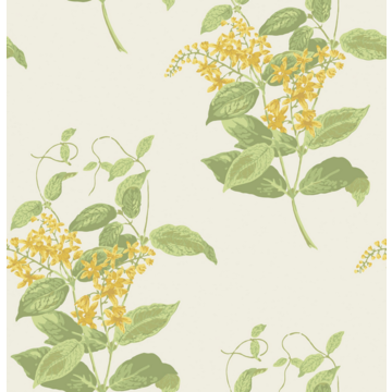 Madras Violet 100/12059