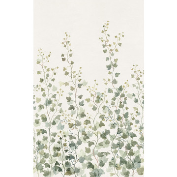 Ivy Green S10484 (paneeli - tilattavissa myös m2)