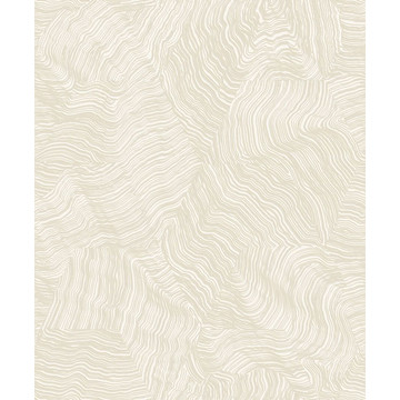 Infusion EXIR 20202 15 23