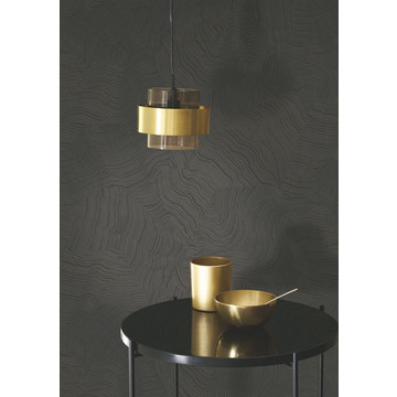 infusion EXIR 202029780 amb