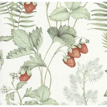 strawberry field HETA 201217155 closeup