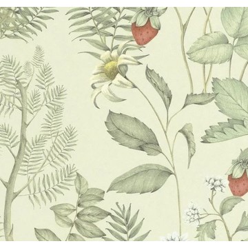 strawberry field HETA 201217362 closeup