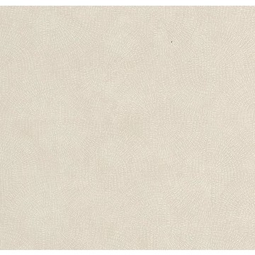 Asterios SOLA 20188 14 85