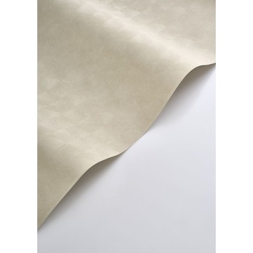asterois SOLA 201881485  wavfe