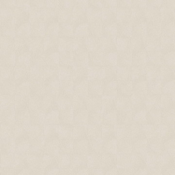 asterois SOLA 201881485