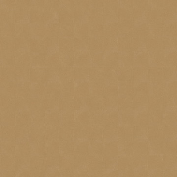 asterois SOLA 201882651