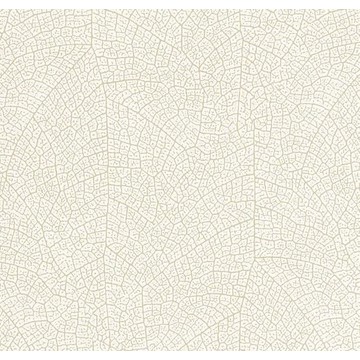 nola 201281101
